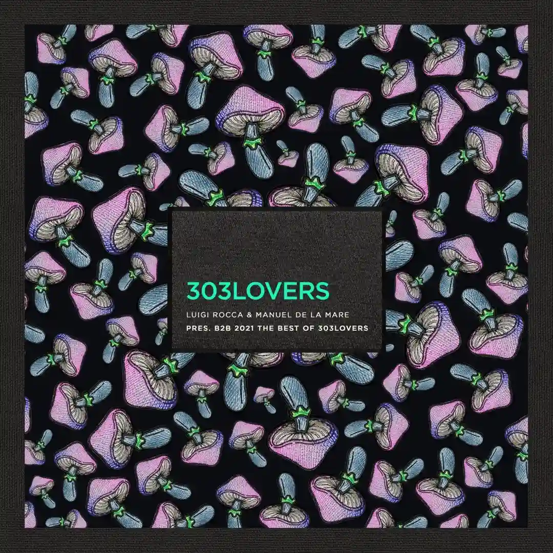 Rollercoaster cover