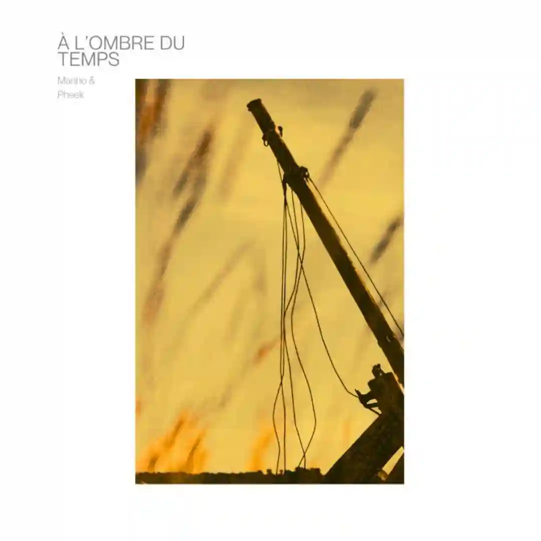 Scarabée Sur Vallons Verts (Original Mix) cover