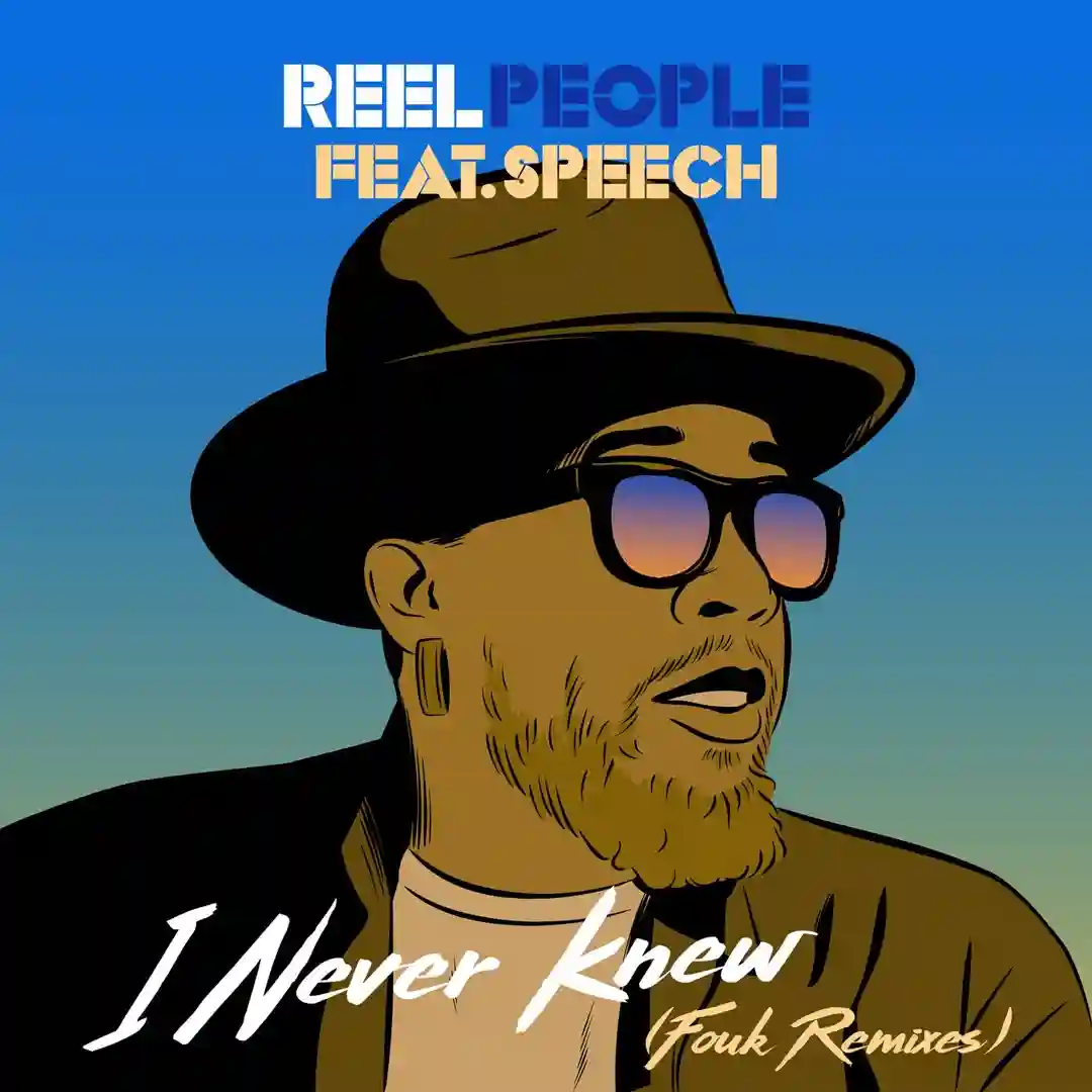 I Never Knew (Fouk Remix Edit) cover
