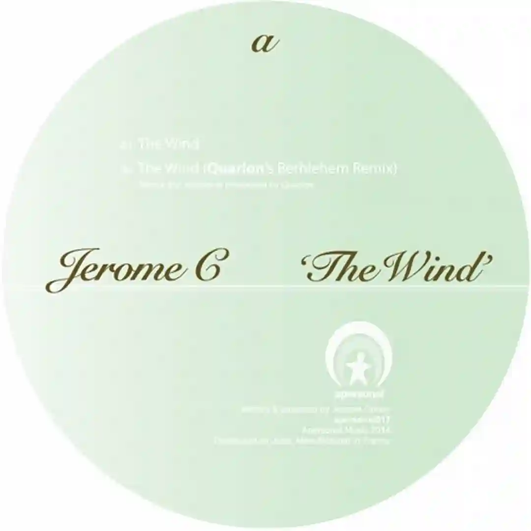 The Wind (Quarion Remix) cover