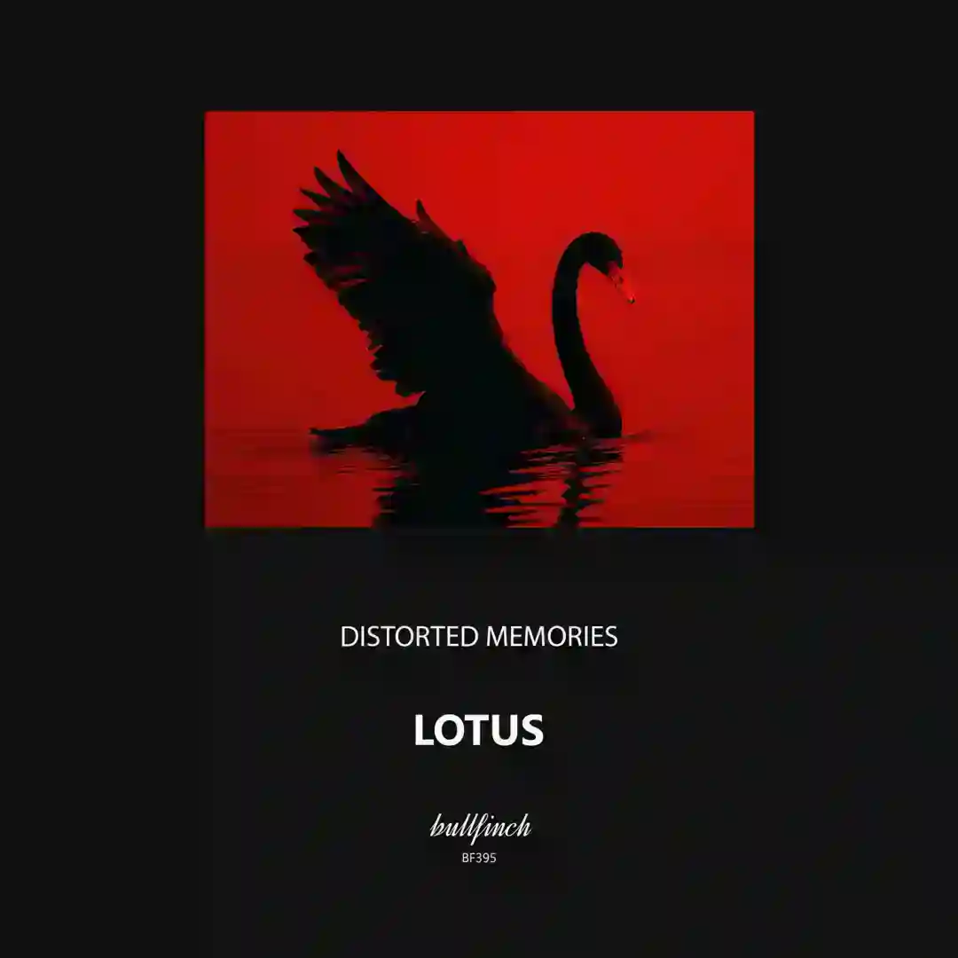Lotus (Original Mix) cover
