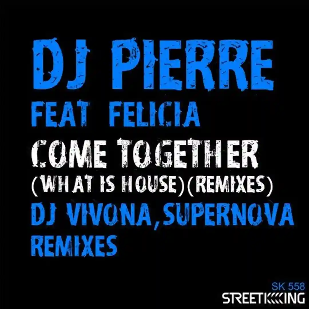 Come Together (What Is House?) (DJ Vivona Remix) cover