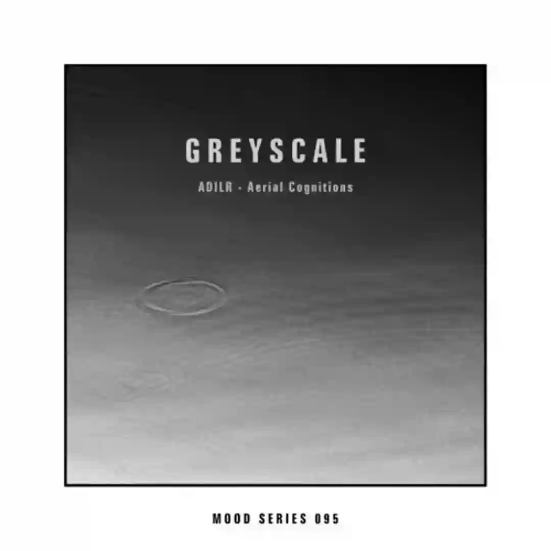 Aerial Cognitions cover