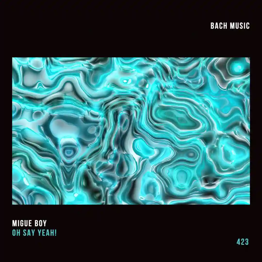 I Like Big Bass (Original Mix) cover