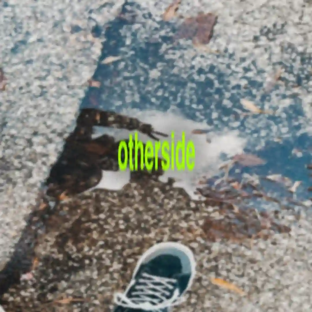 Otherside cover