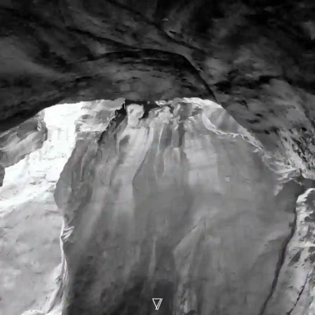 Vesania cover