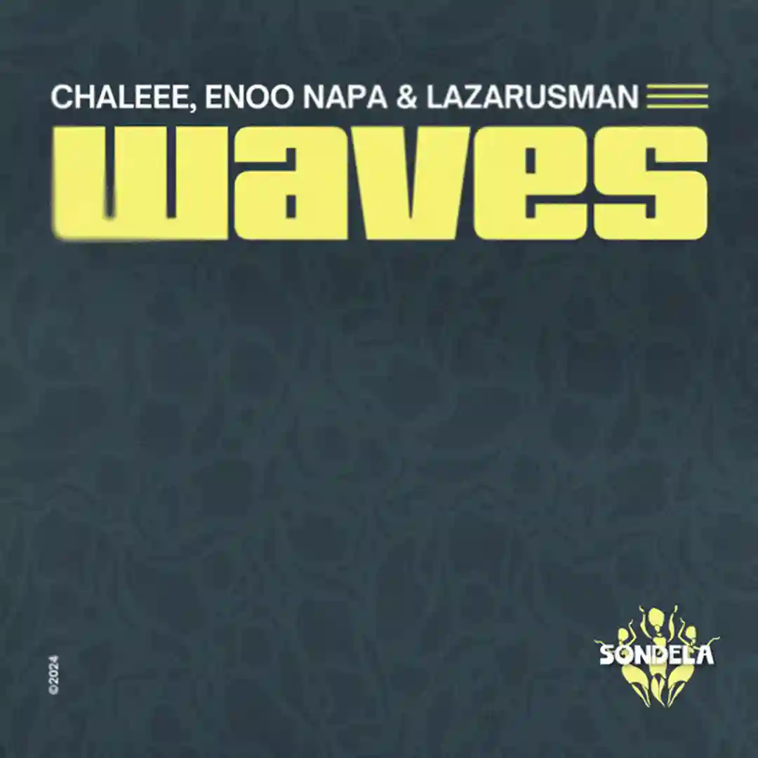 Waves (Instrumental) cover