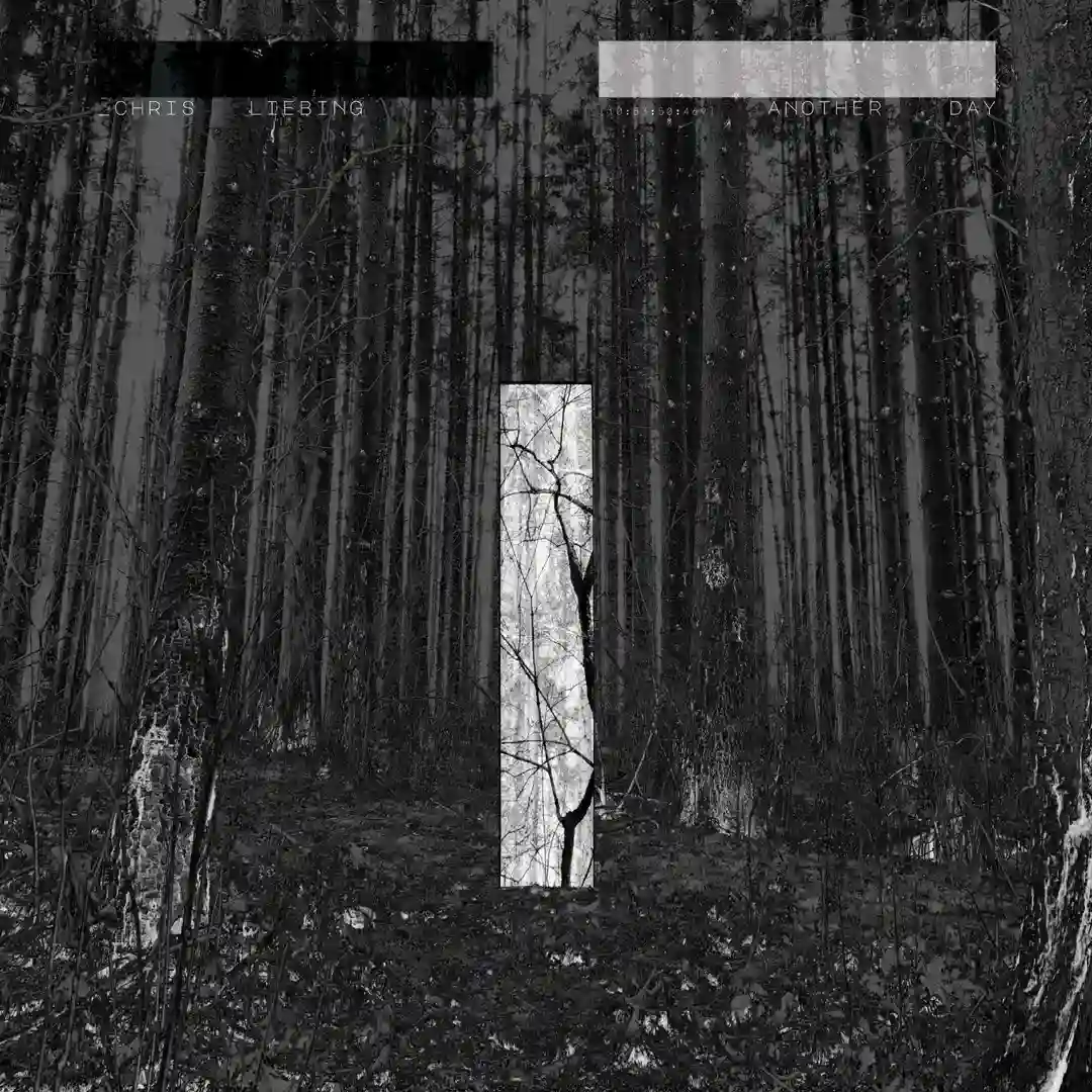 Circles feat. Tom Adams (Single Mix) cover