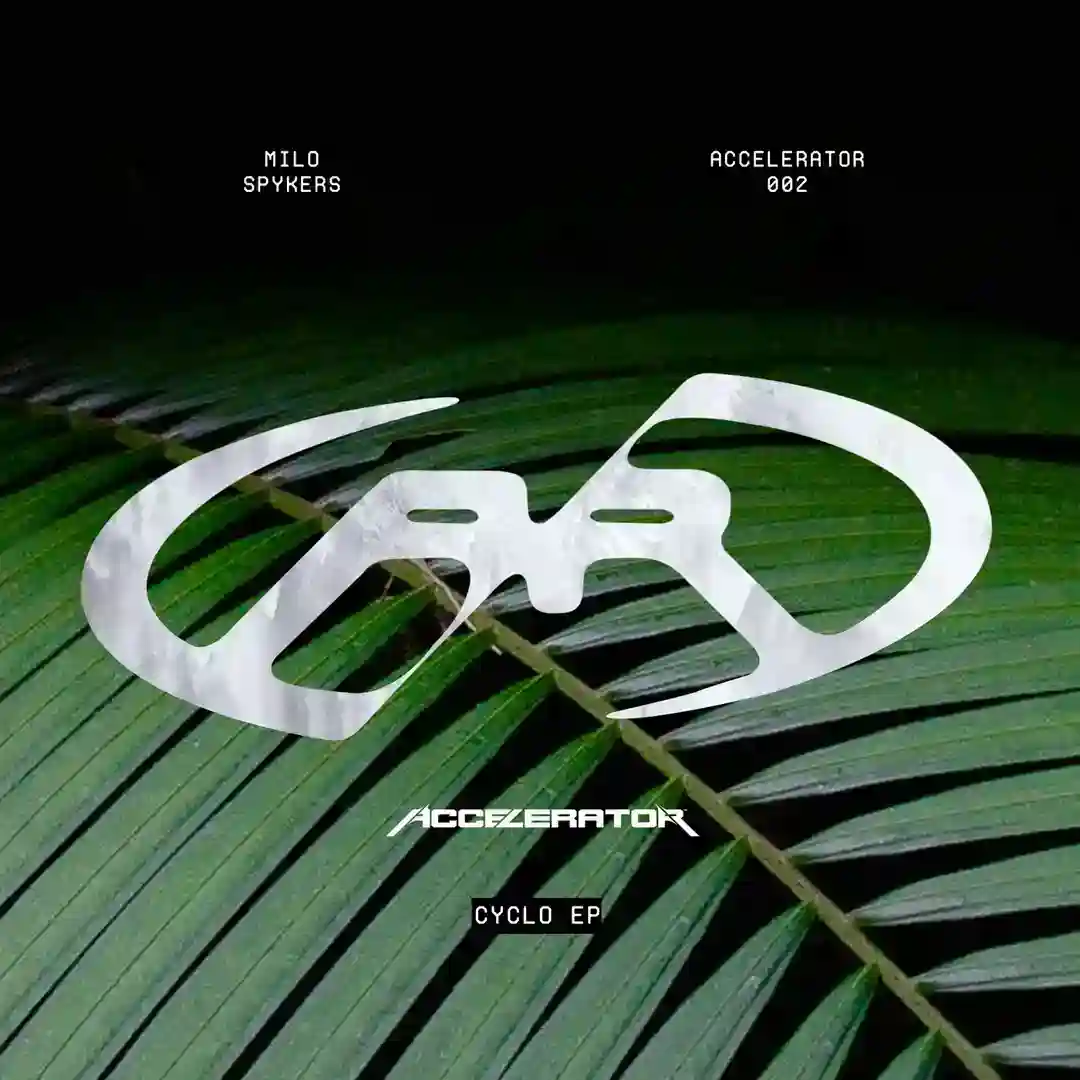 Trace (Original Mix) cover