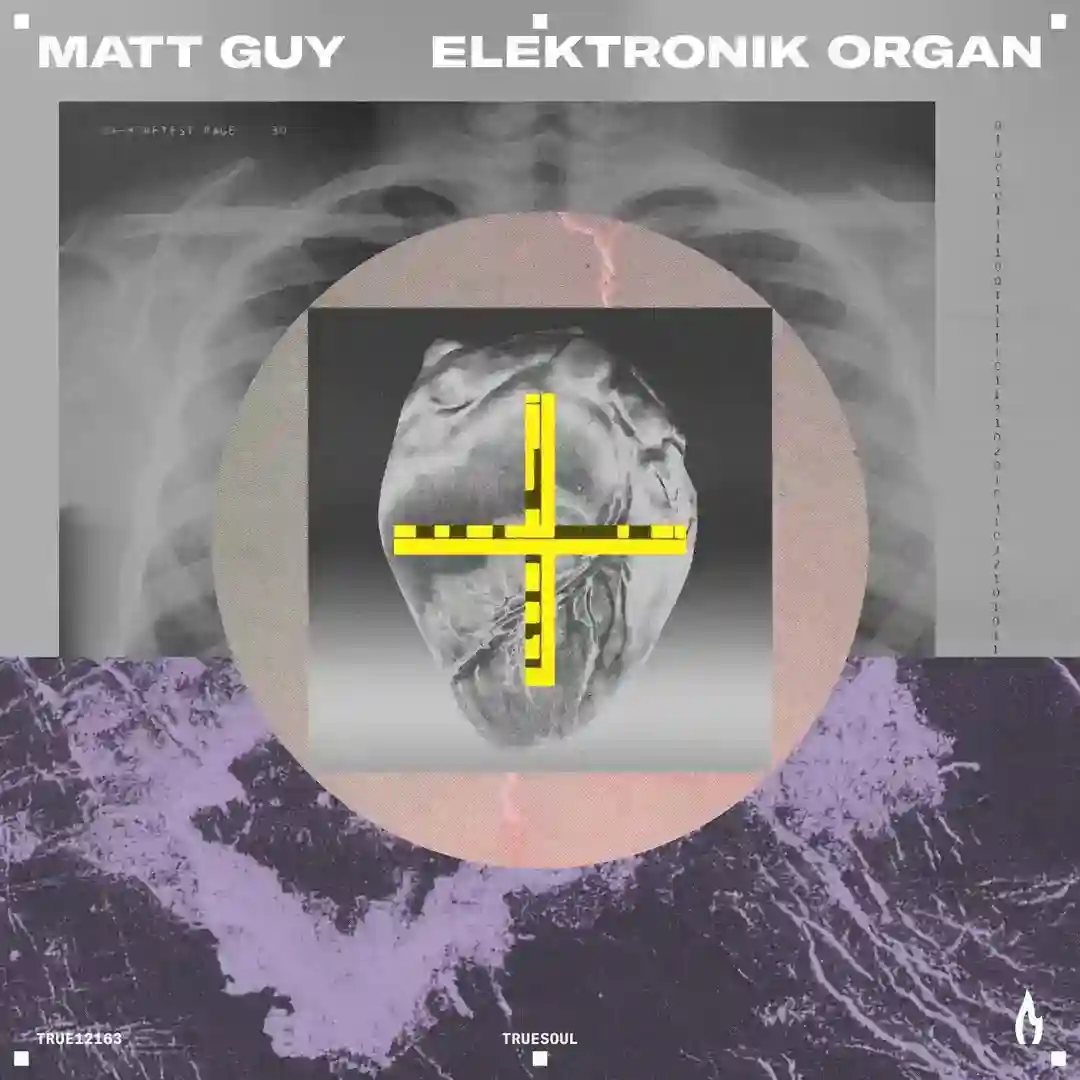 Elektronik Organ cover