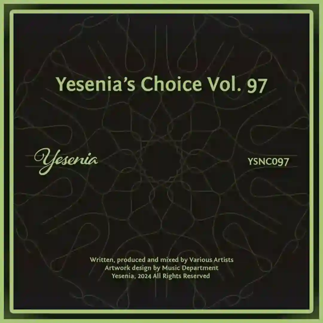 Vinyl Princess (Original Mix) cover