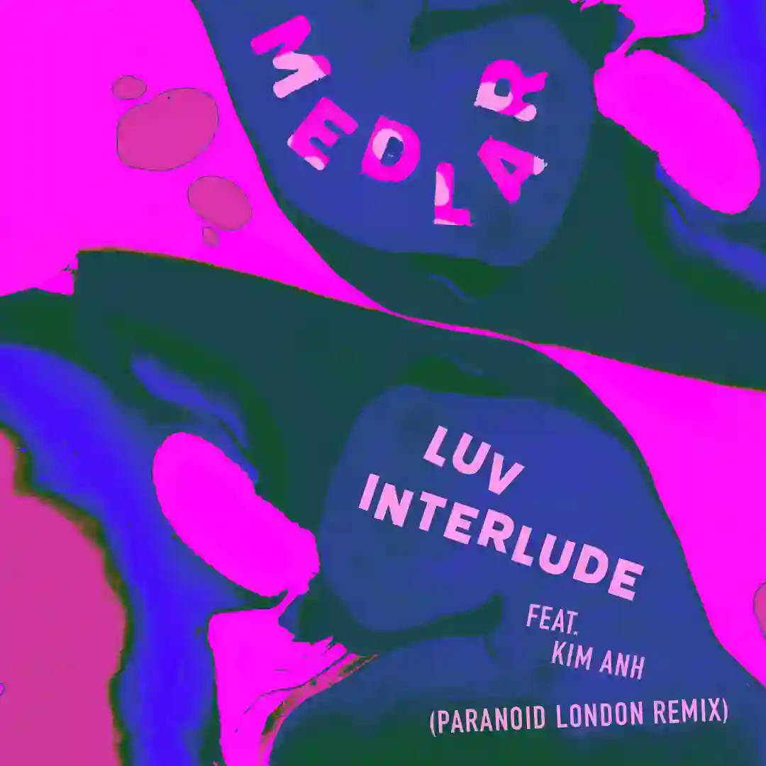 Luv Interlude (feat. Kim Anh) [Paranoid London Remix] cover