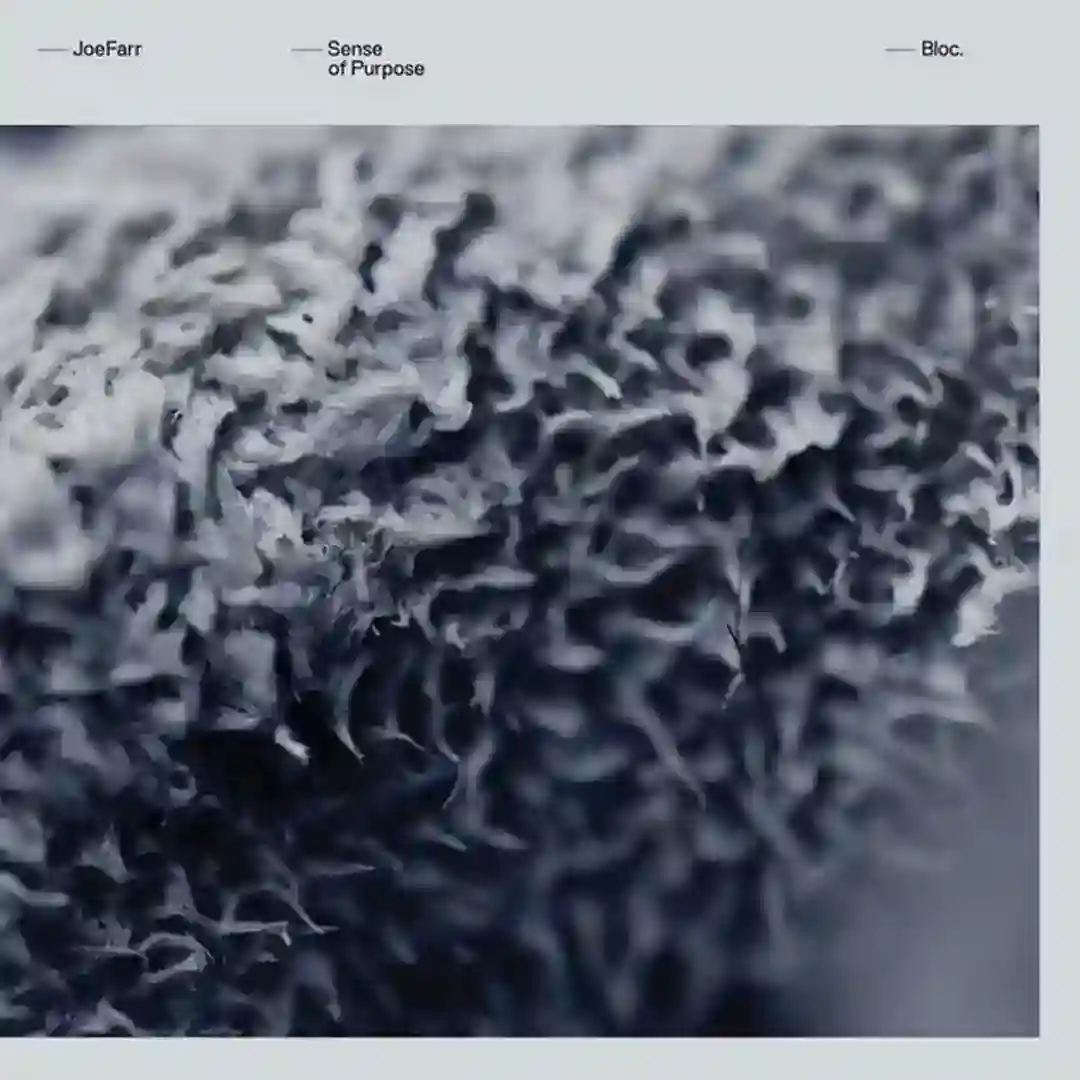 Blacklisted cover