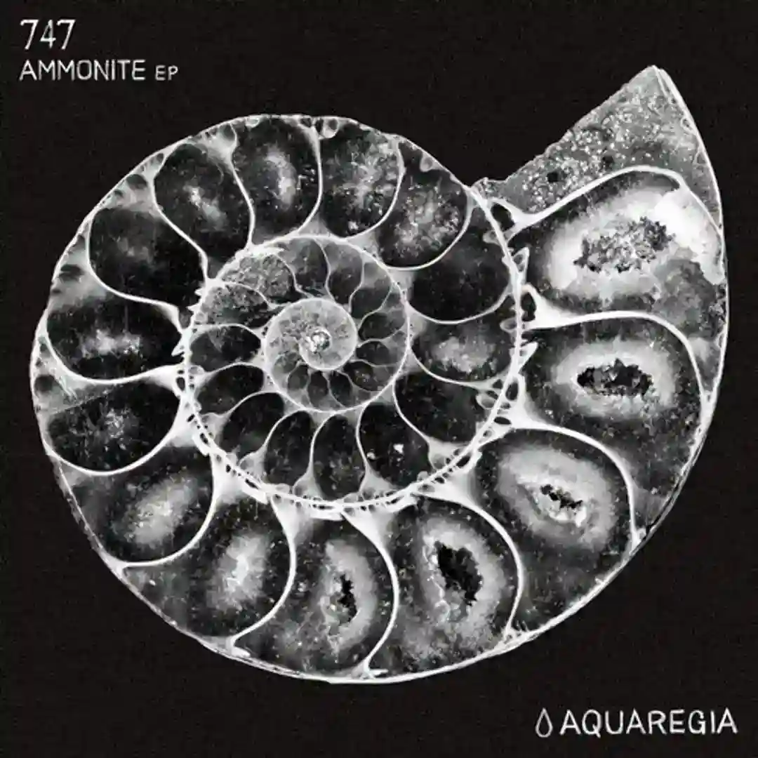 Ammonite EP cover