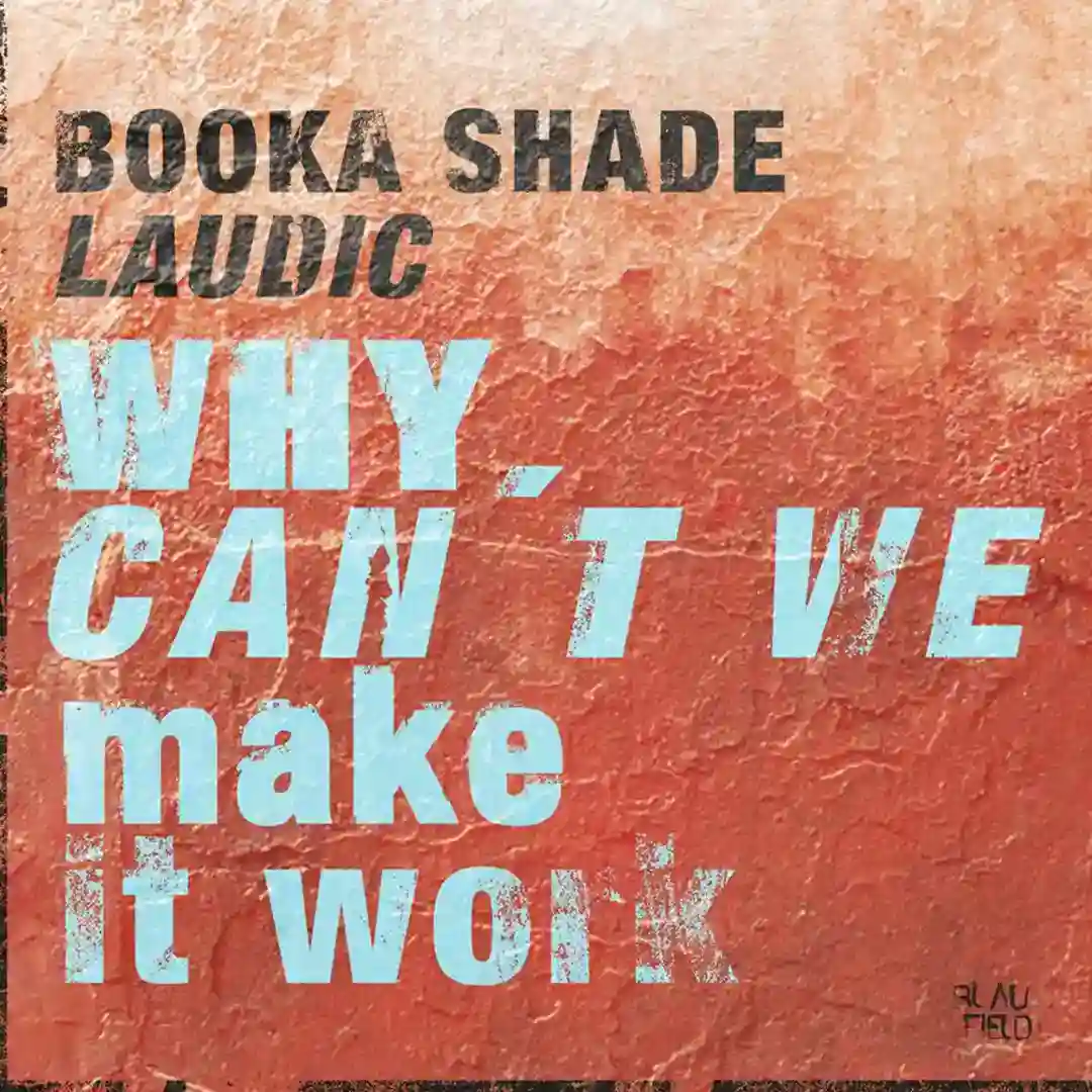 Why Can't We Make It Work (Extended) cover