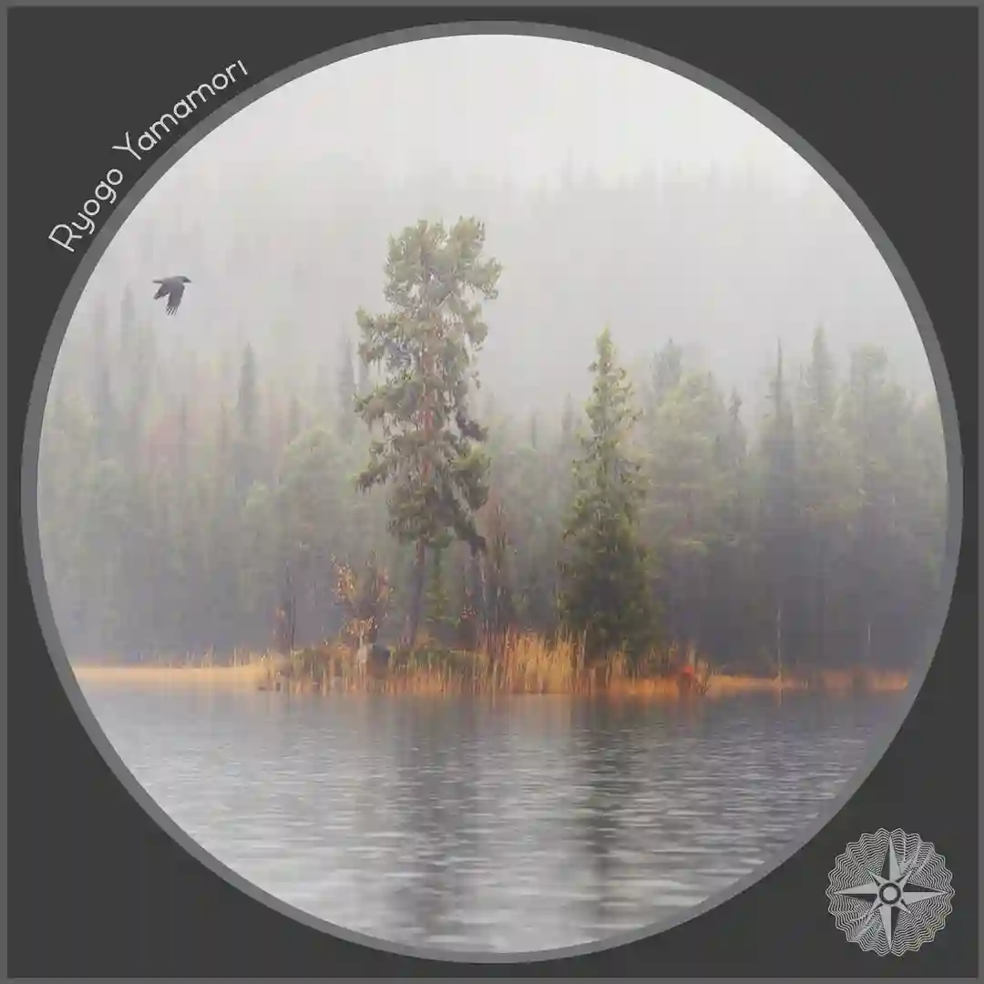 Rainfall (Feral Remix) cover