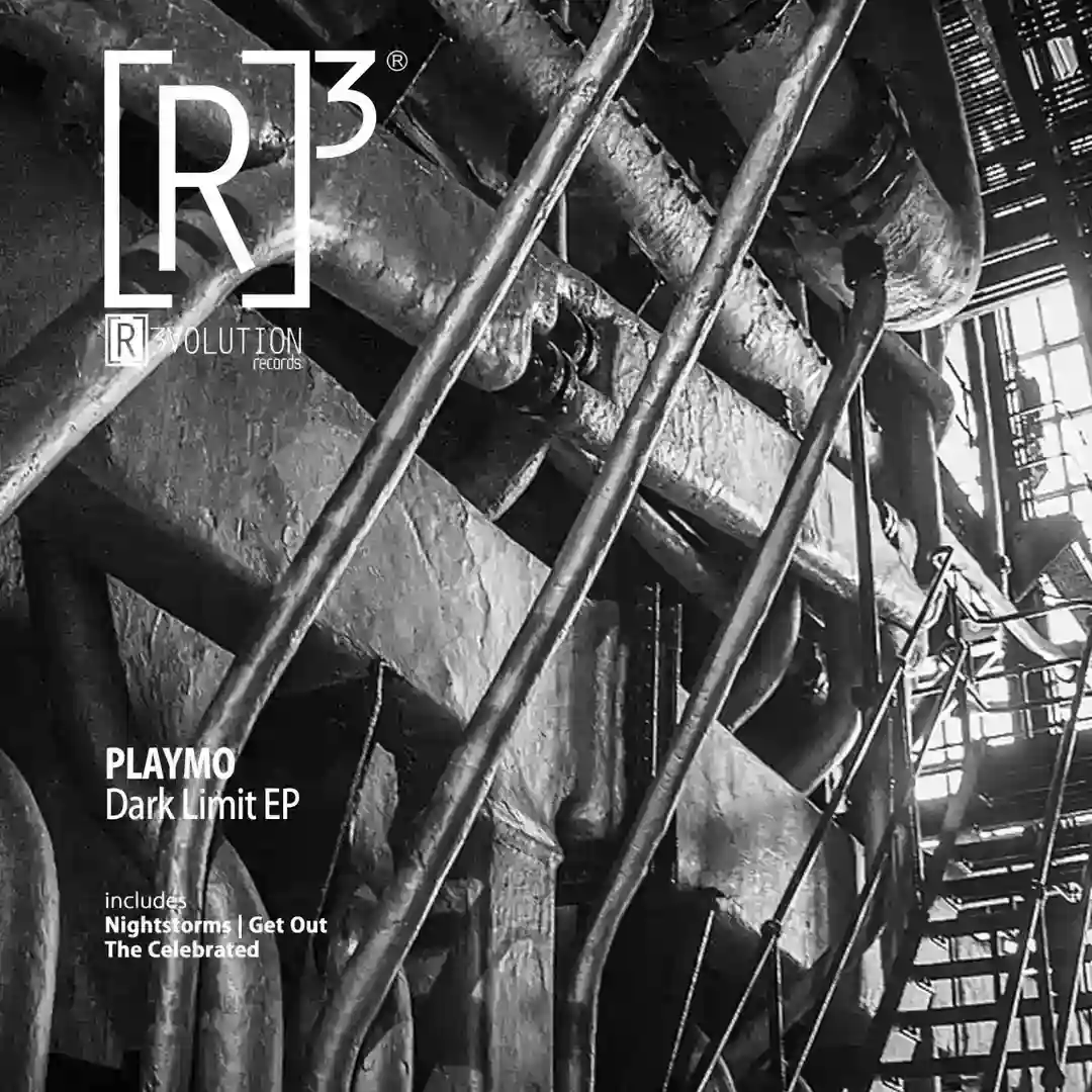 The Celebrated (Original Mix) cover