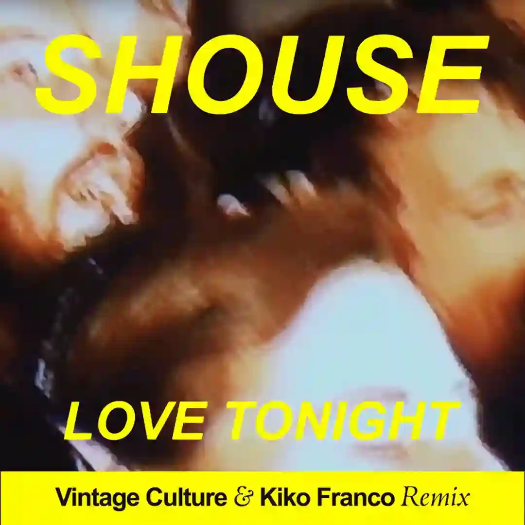 Love Tonight (Vintage Culture & Kiko Franco Remix) cover