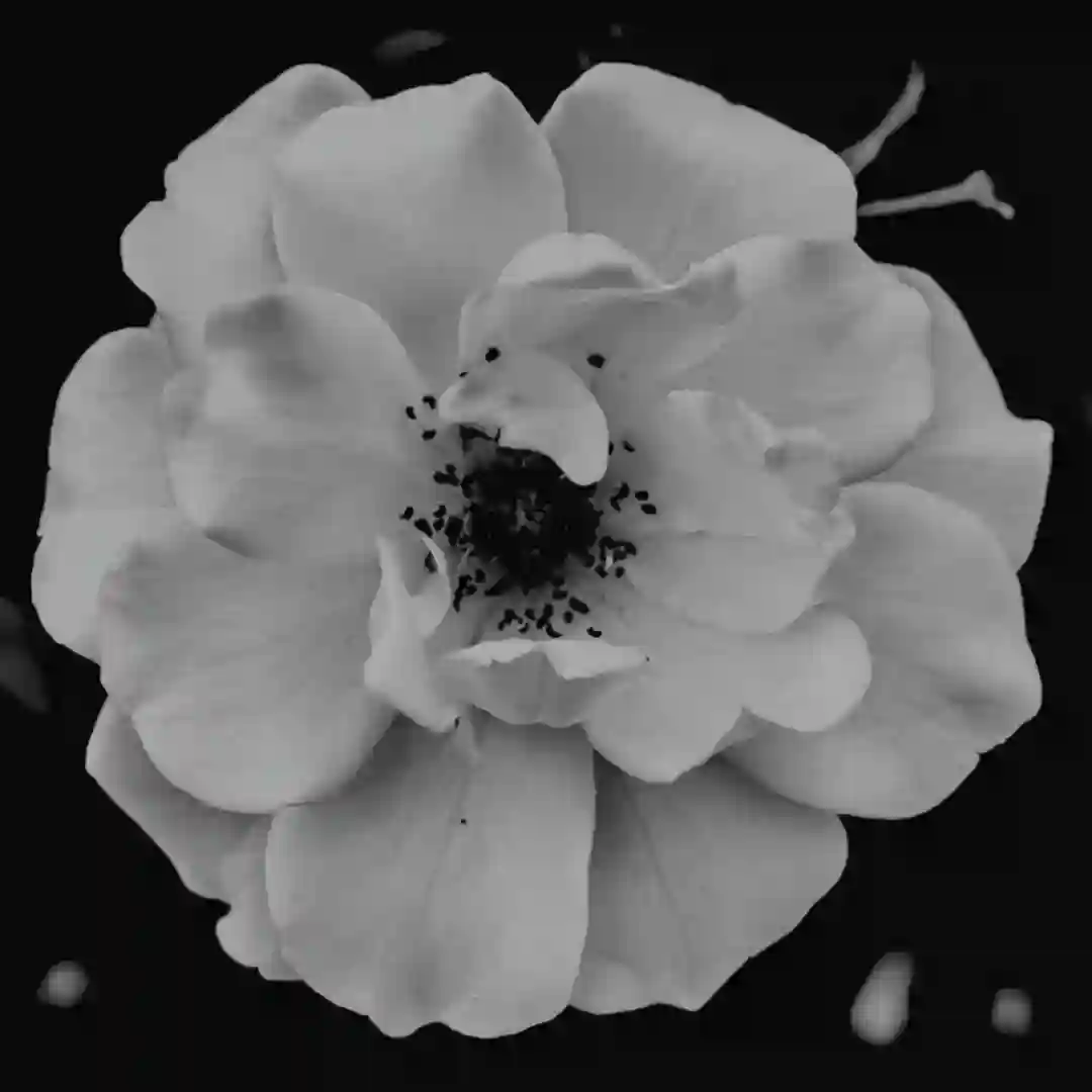 Story (Ambient Version) cover