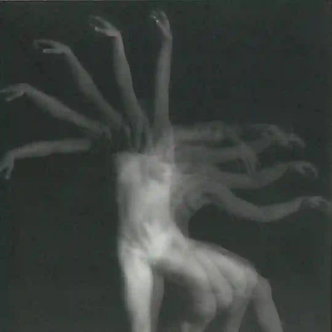 Human Body Movement cover