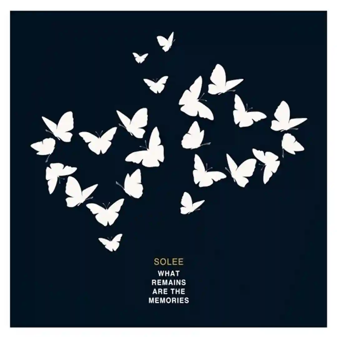 Canvas (Solee Remix) cover
