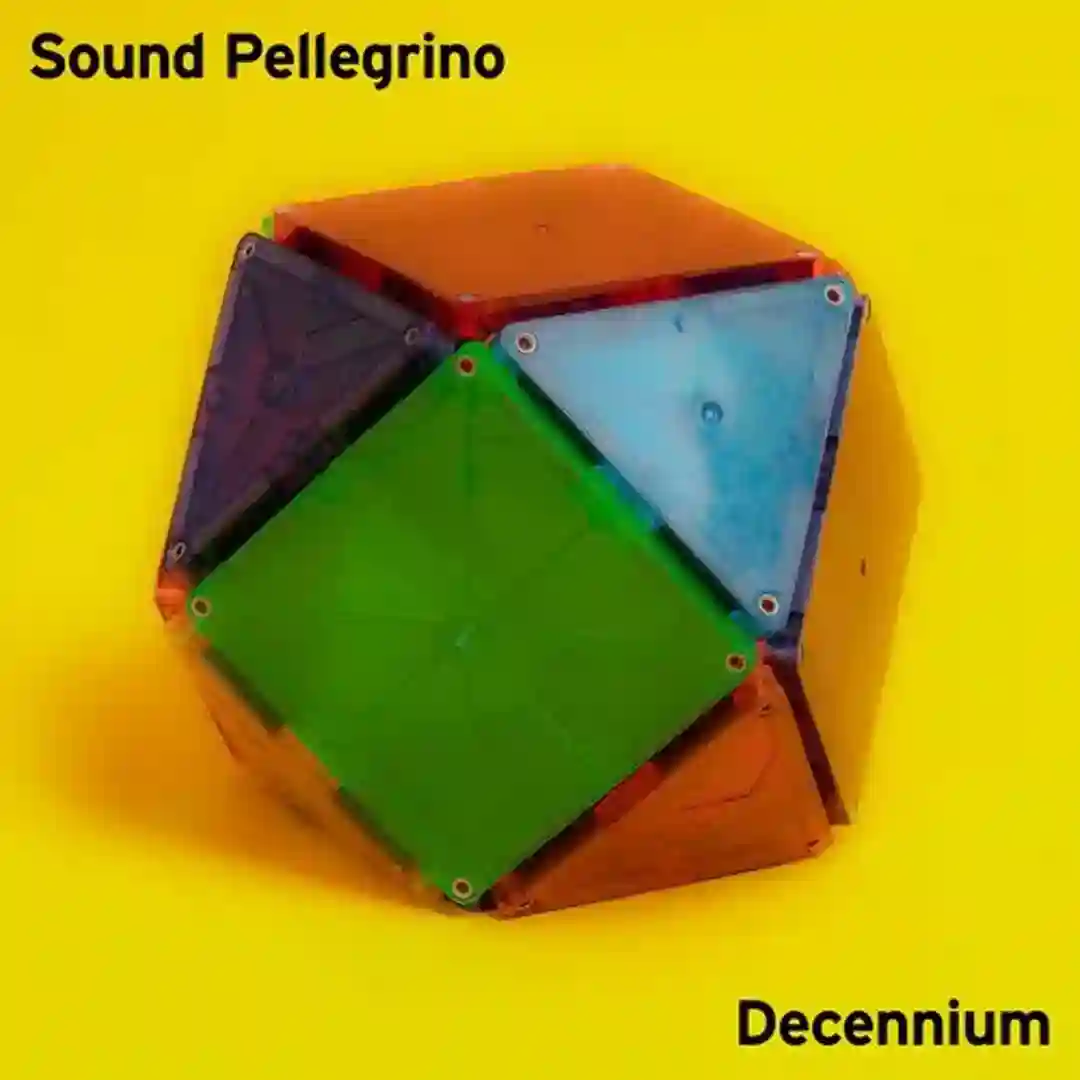 Skateboarder (Original Mix) cover