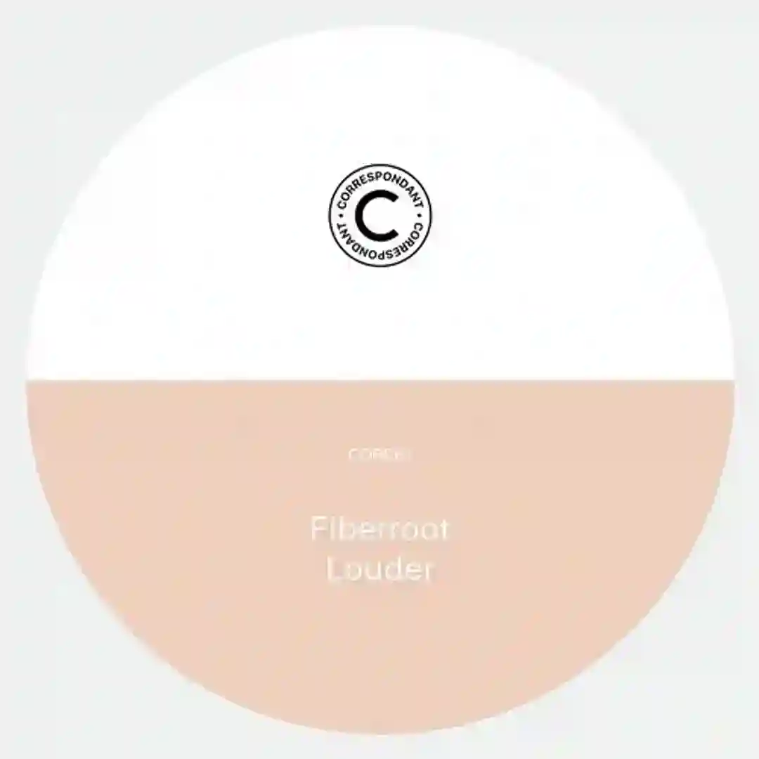 Echo Silent (MR TC remix) cover