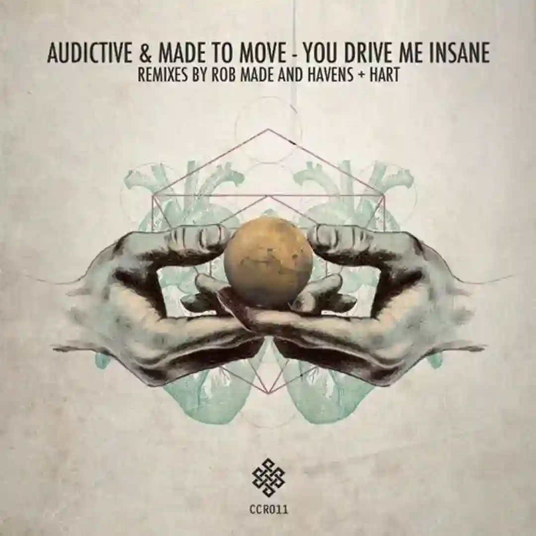 You Drive Me Insane (Rob Made Remix) cover