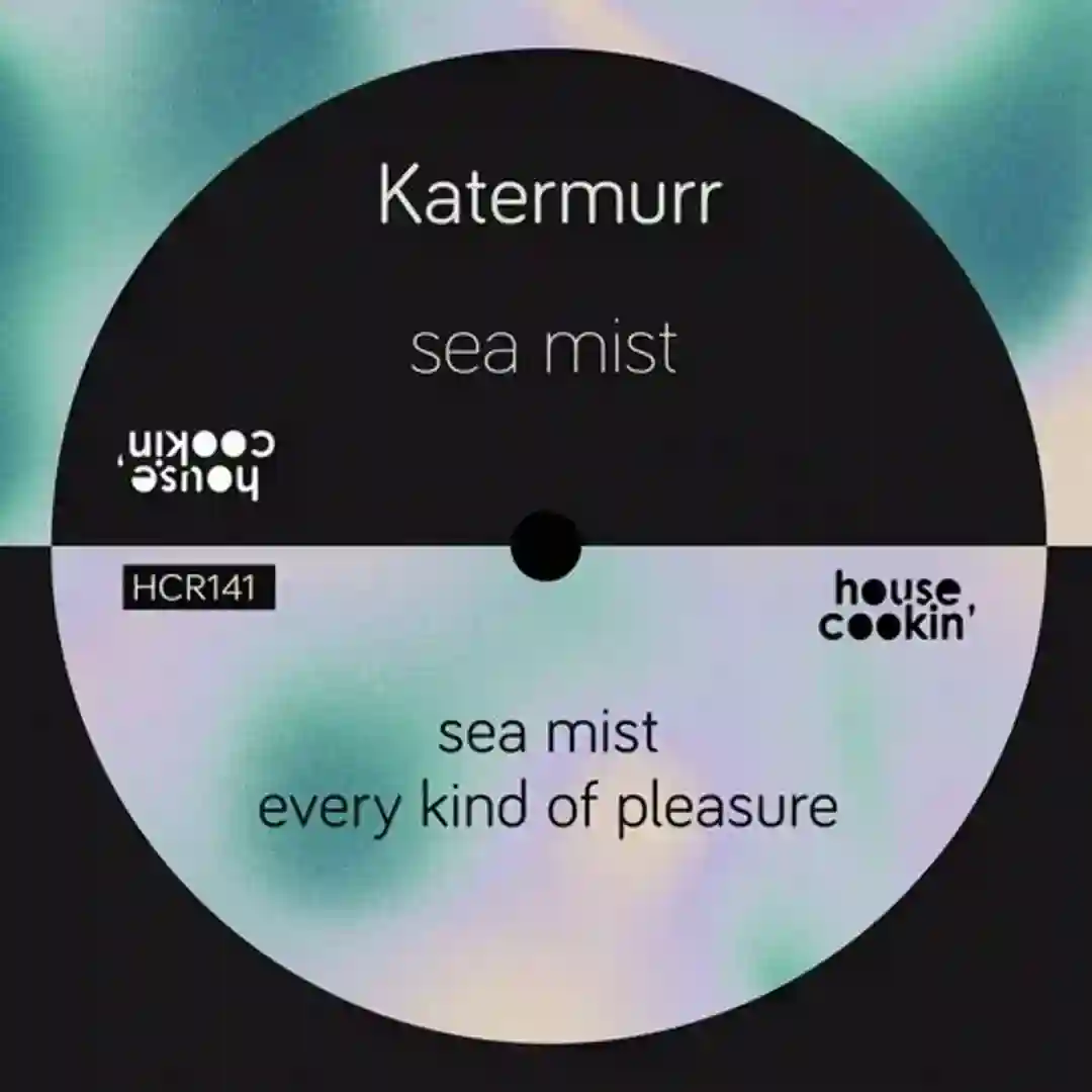Every Kind of Pleasure cover