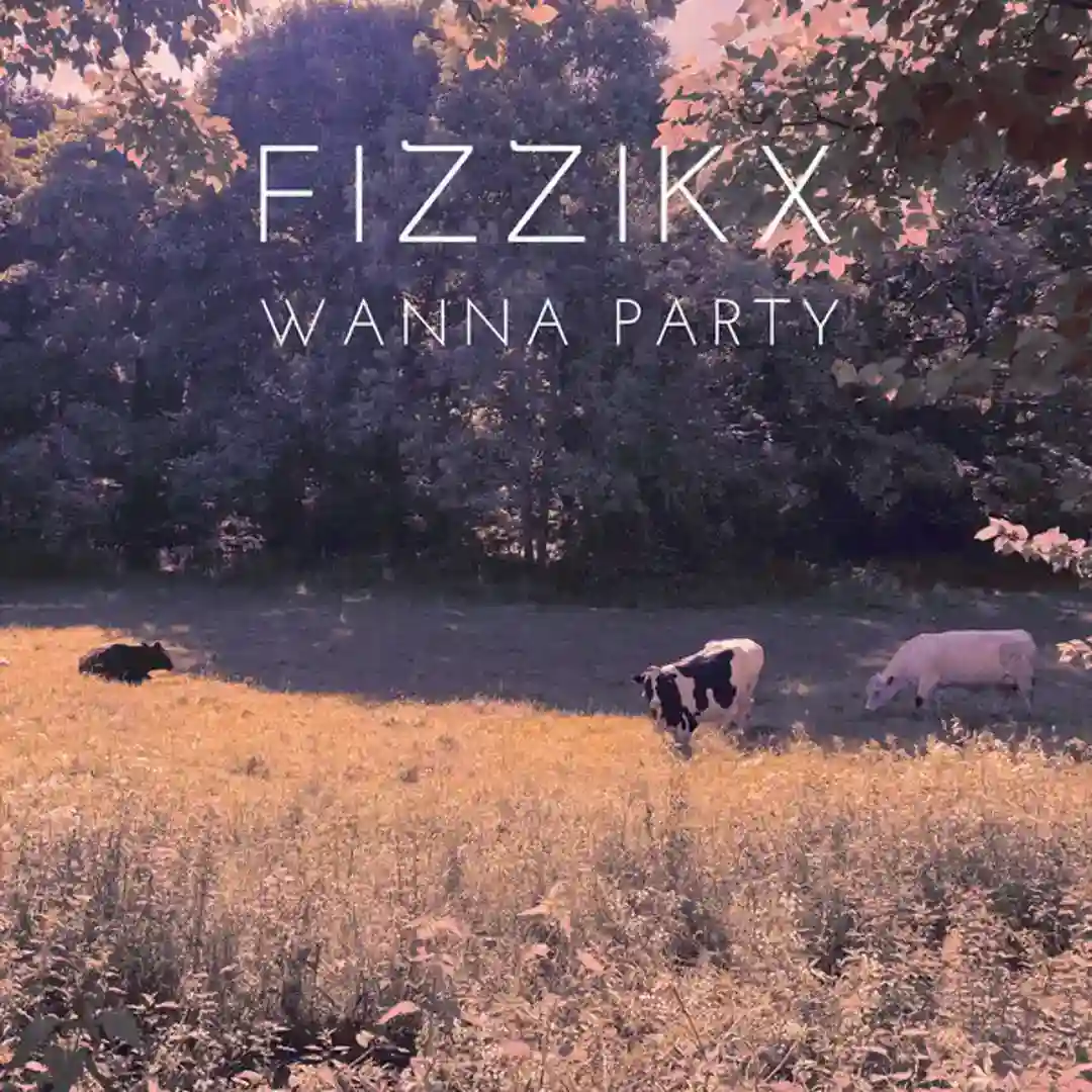 Wanna Party cover