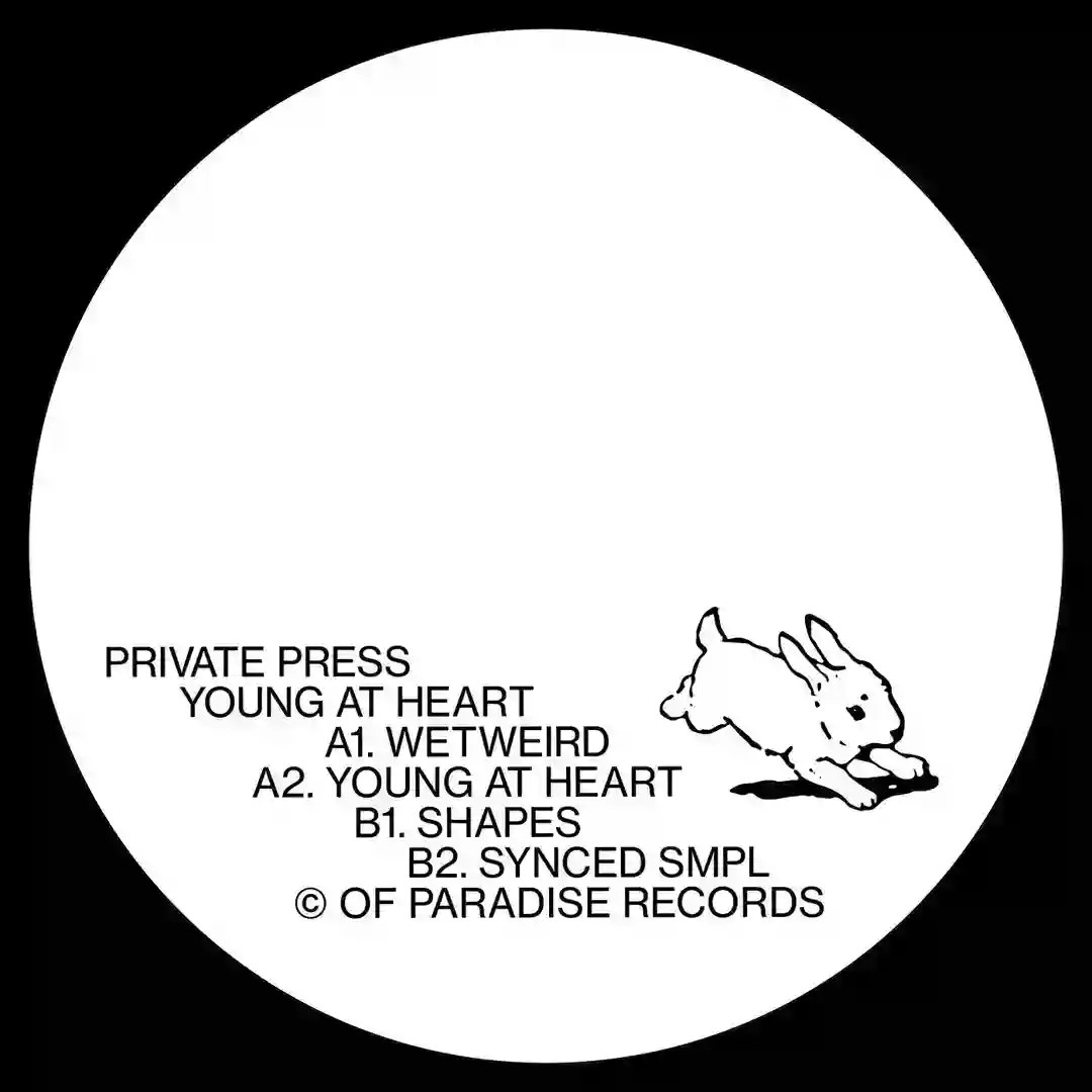 Shapes cover