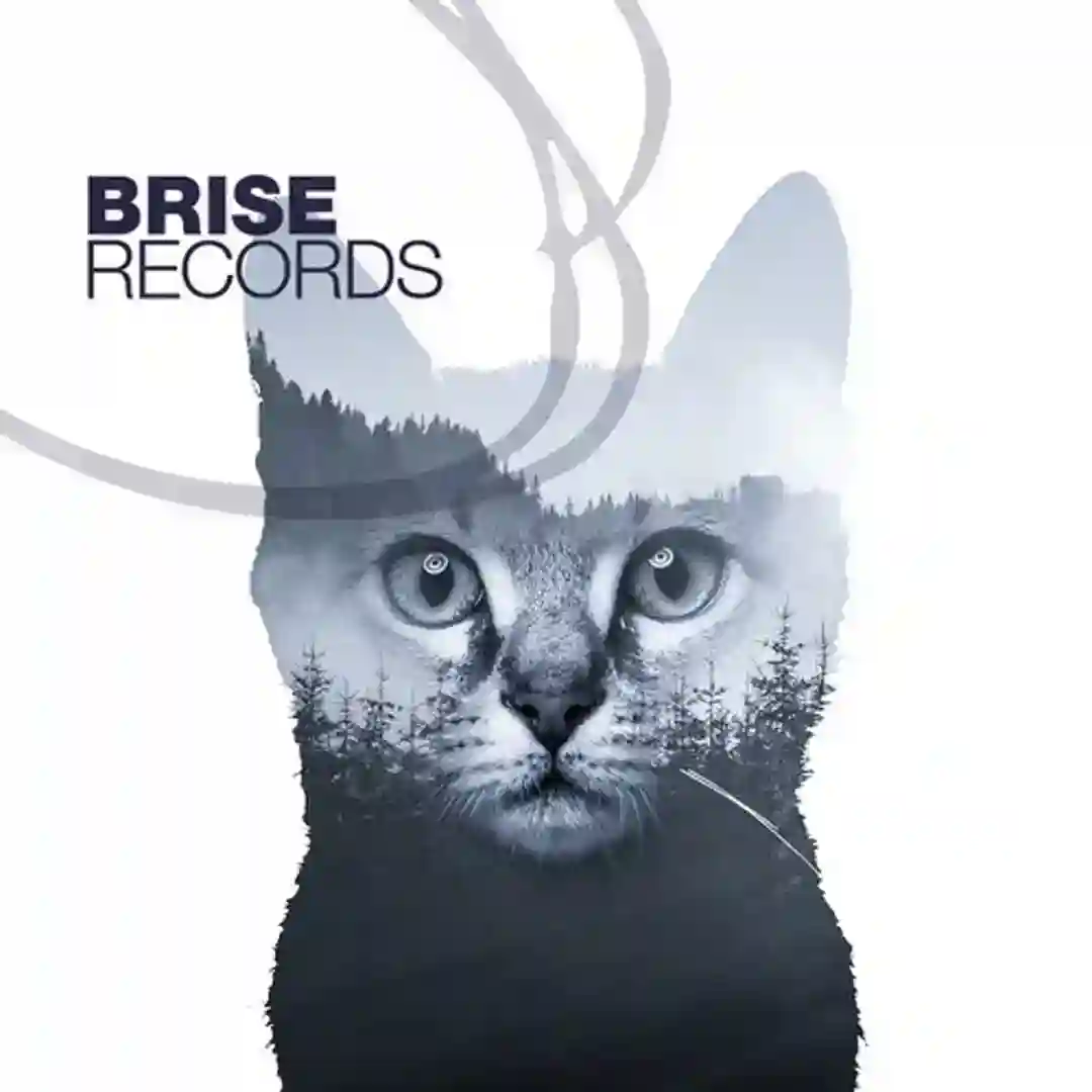 Boss Knows Why E.P. cover