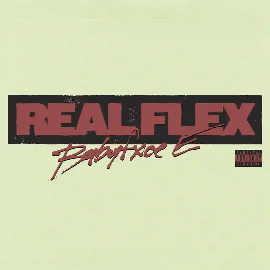 Real Flex cover