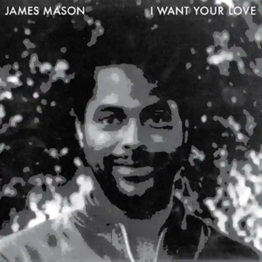 I Want Your Love cover