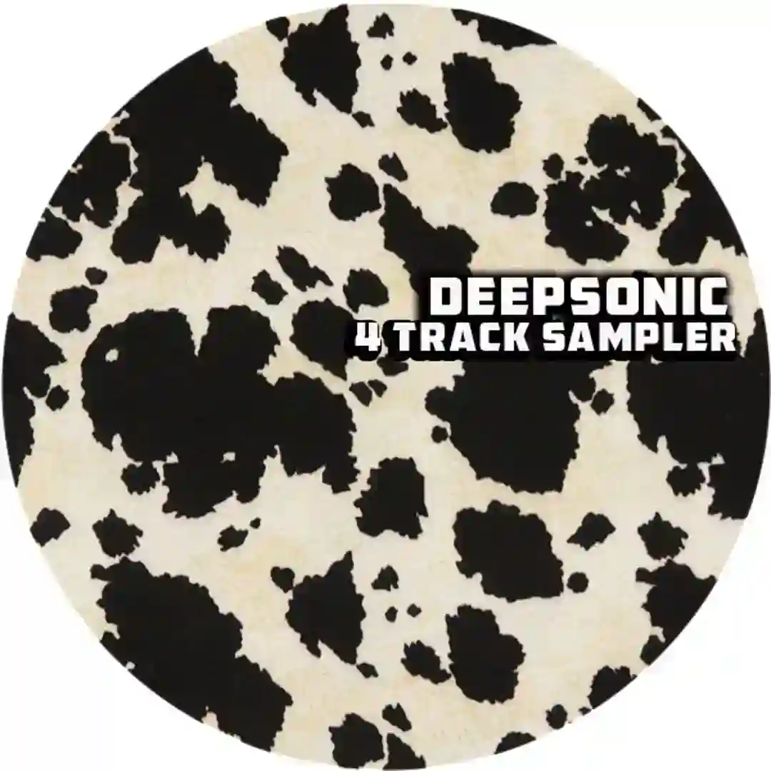 4 Track Sampler cover