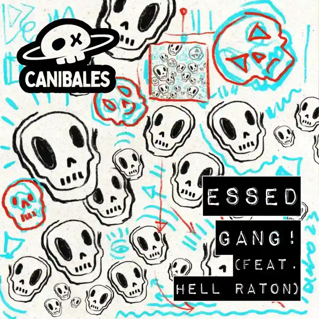 Gang! cover