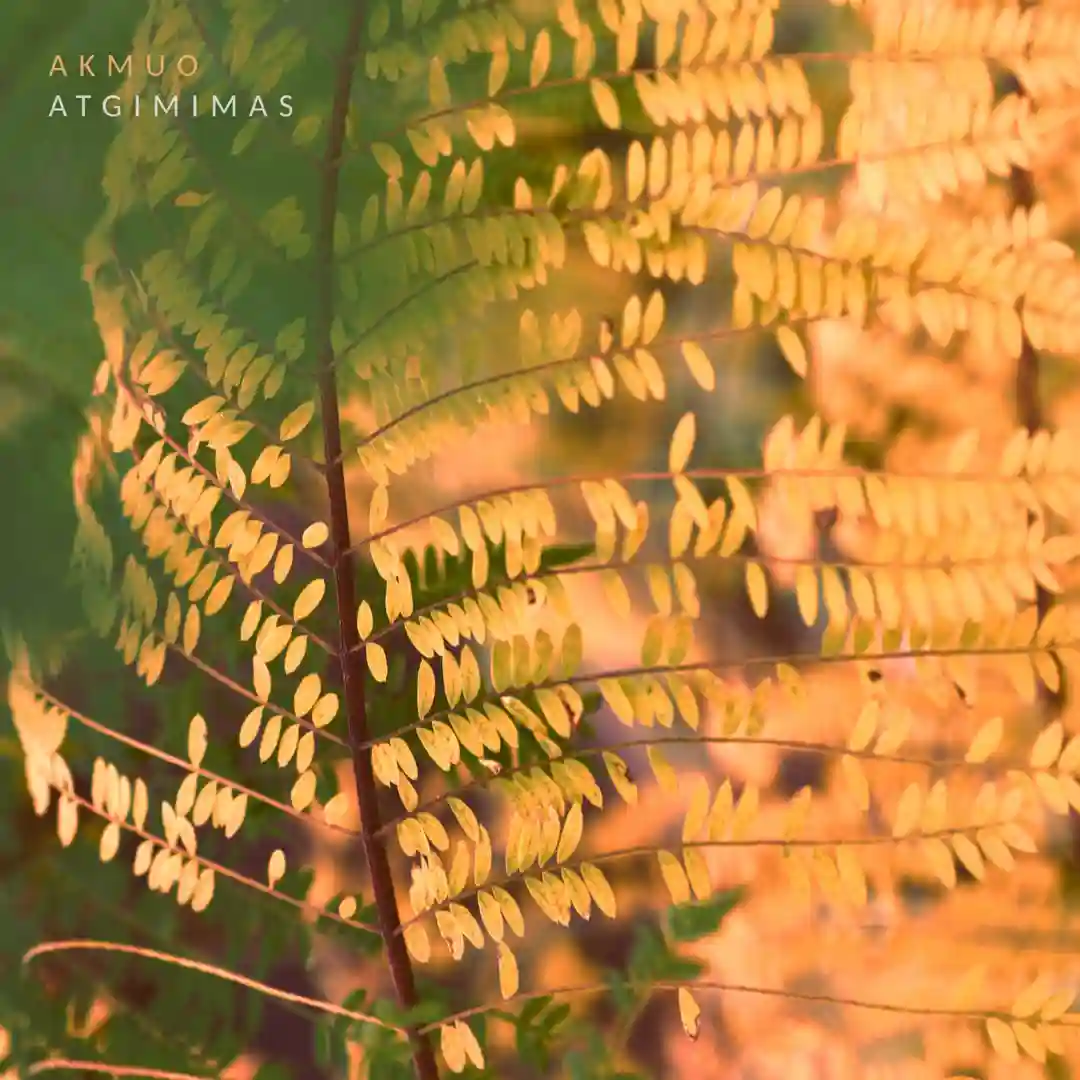Saulėlydis (Original Mix) cover