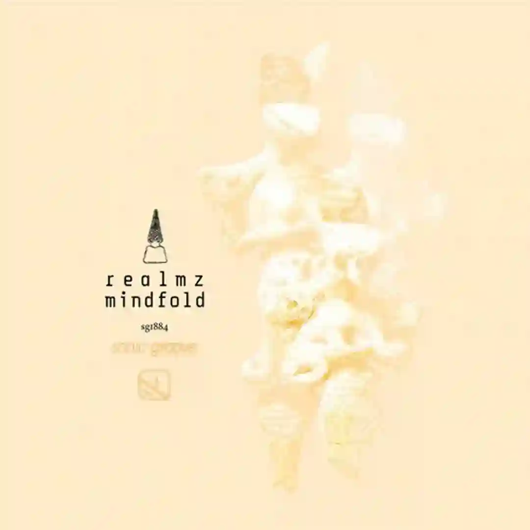 Force Magnetic (Original Mix) cover