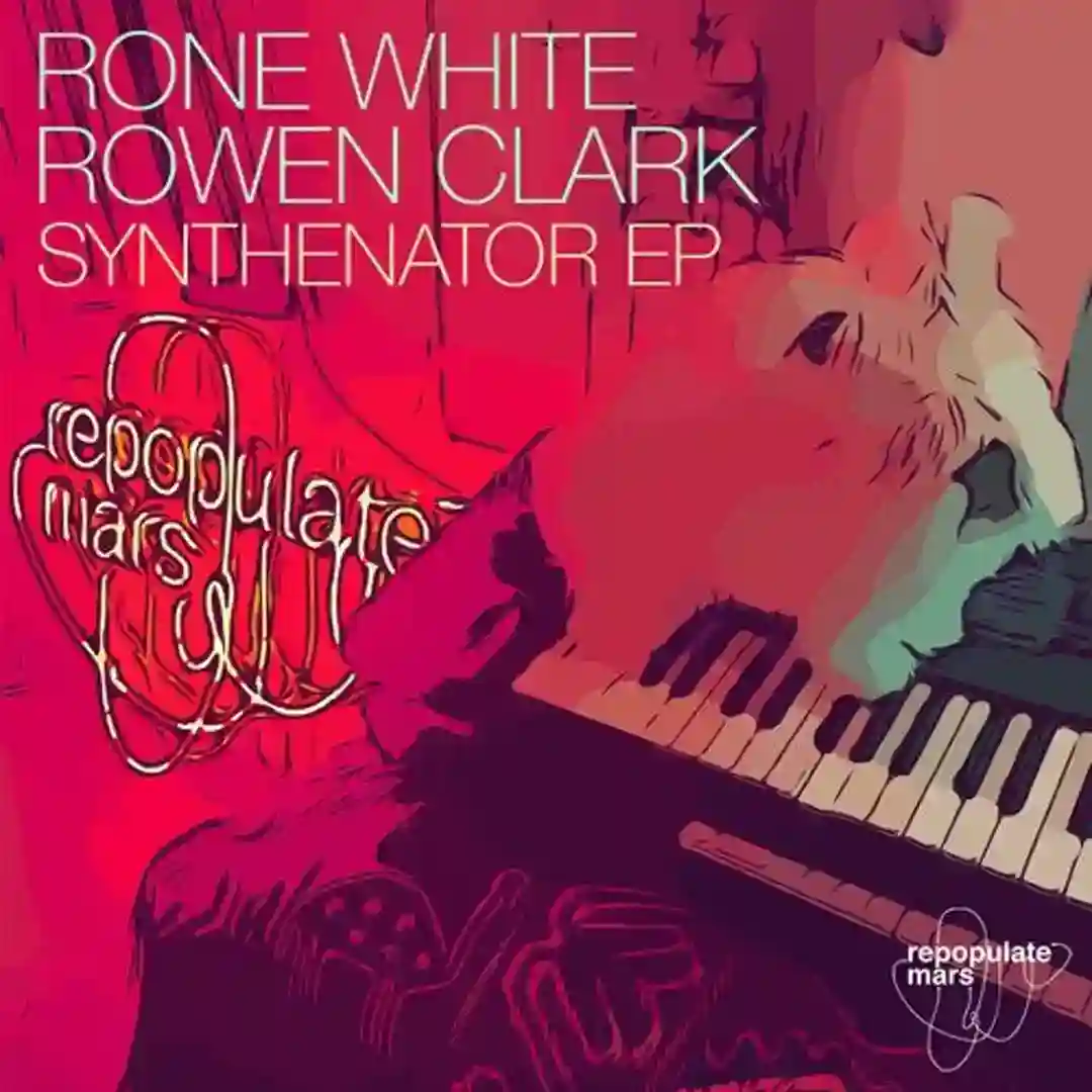 The Smiler (Original Mix) cover