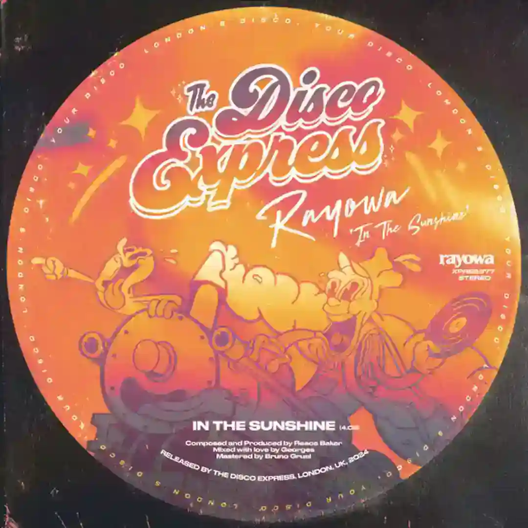 In The Sunshine cover