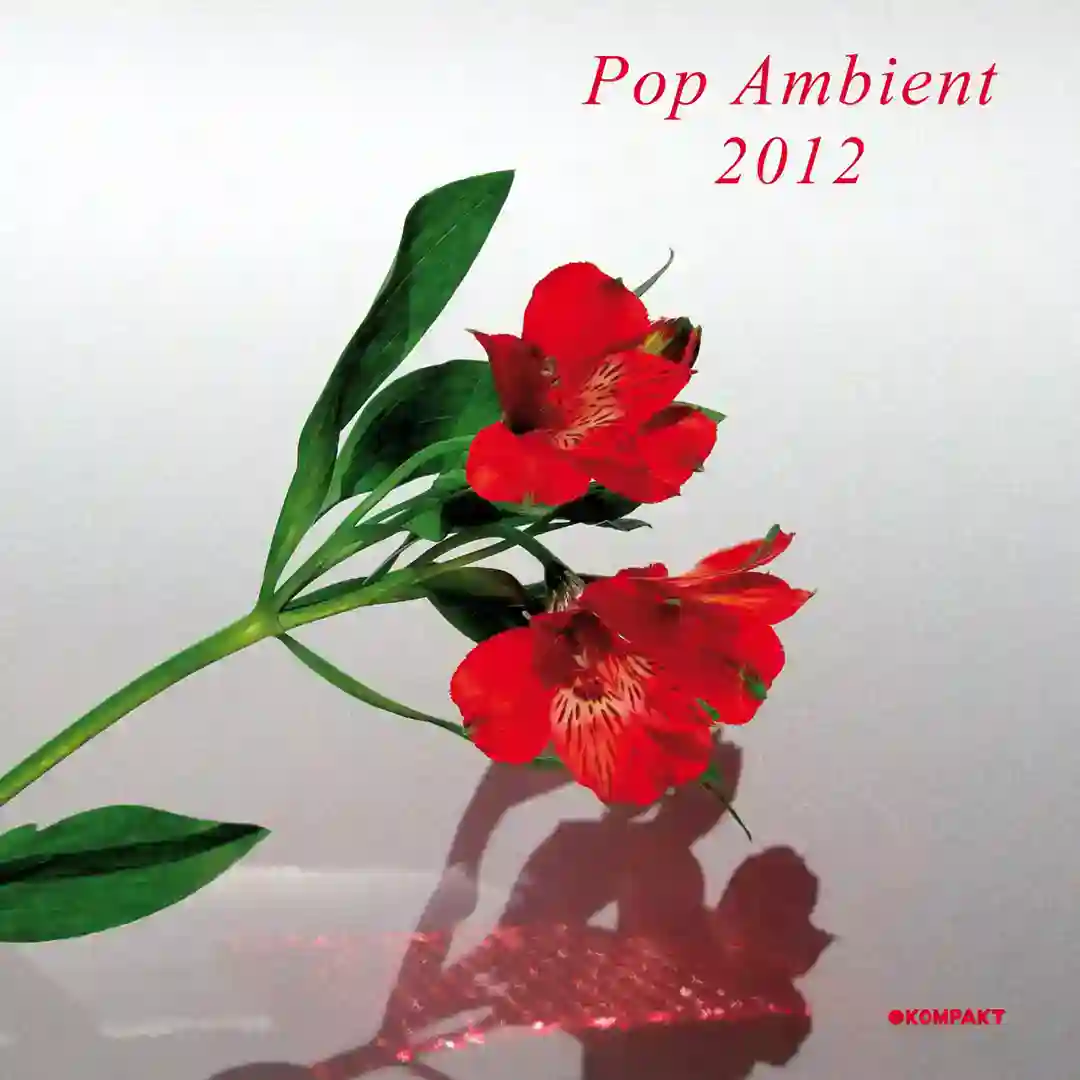 Jackson cover