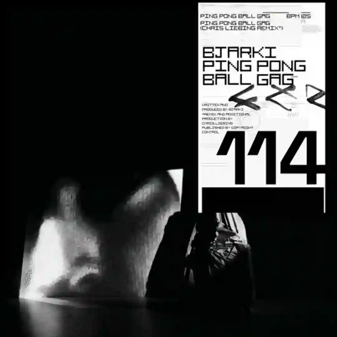 Ping Pong Ball Gag cover