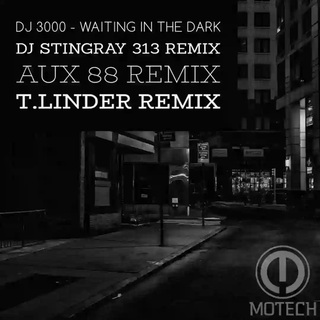 Waiting in the Dark (Aux 88 Remix) cover