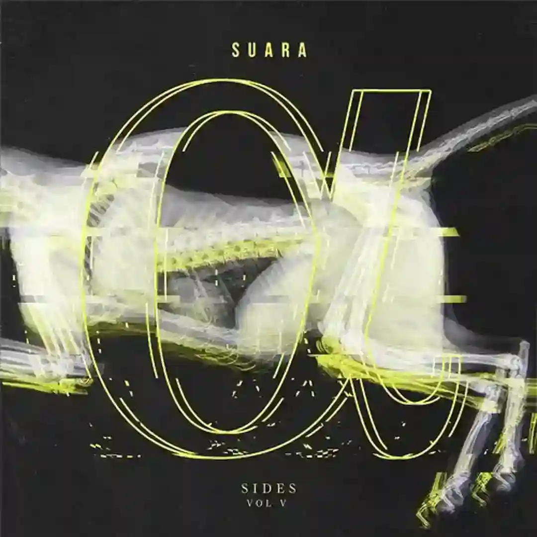 Alpha Sides Vol. V cover