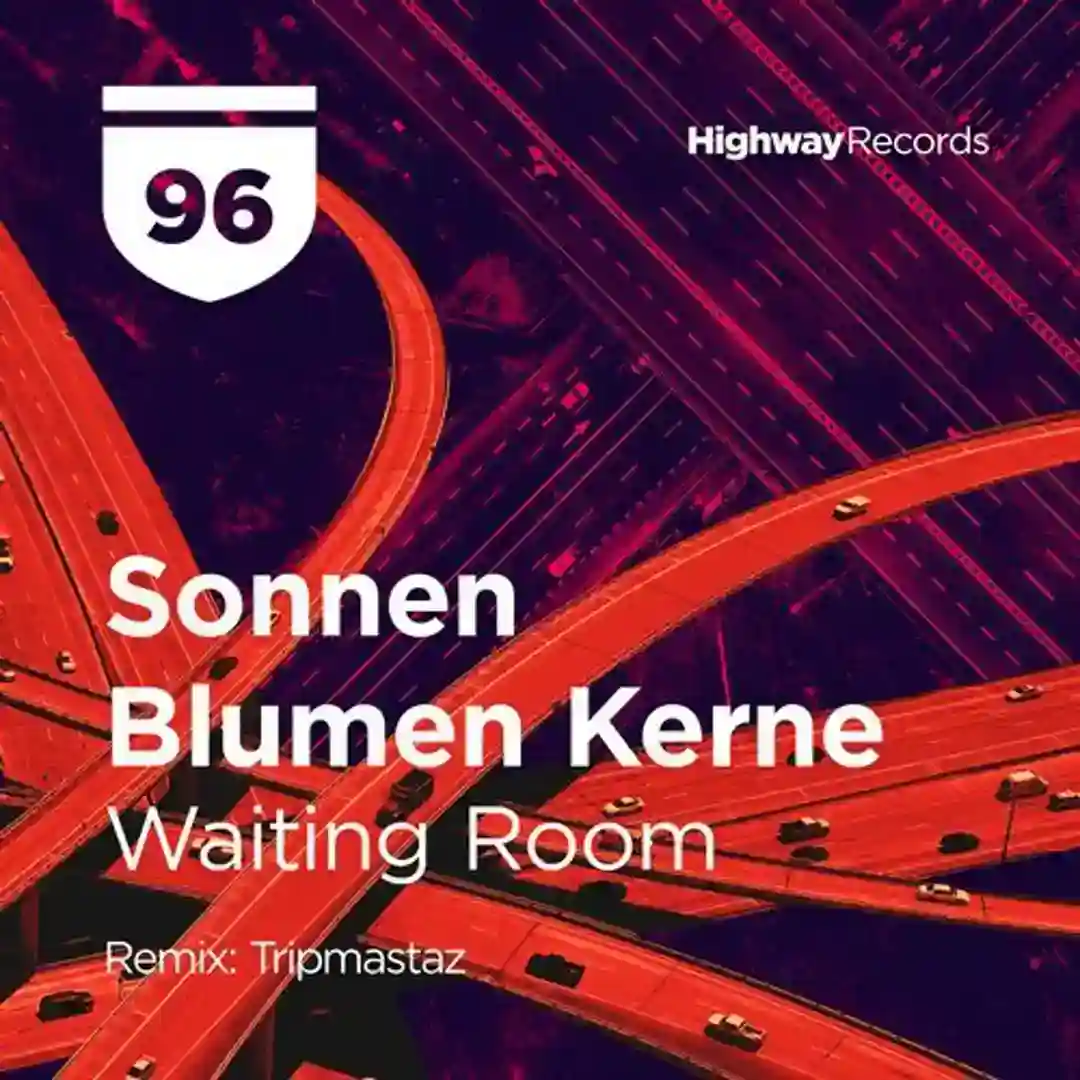 Waiting Room (Original Mix) cover