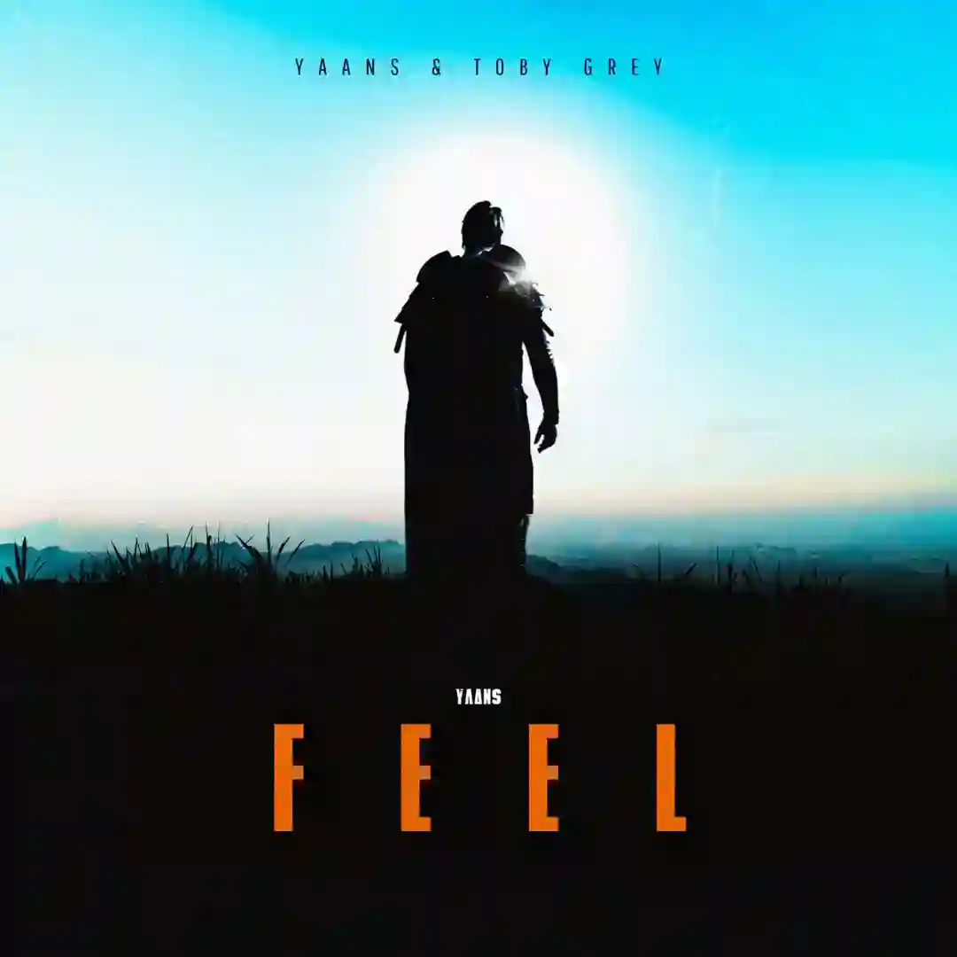 Feel (Original Mix) cover