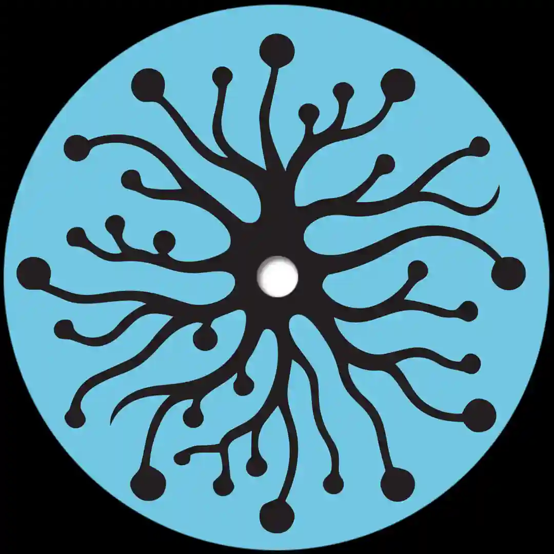 Sense Data (Original Mix) cover