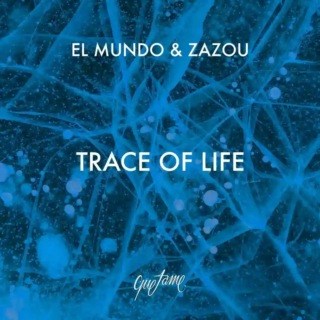 Trace of Life cover