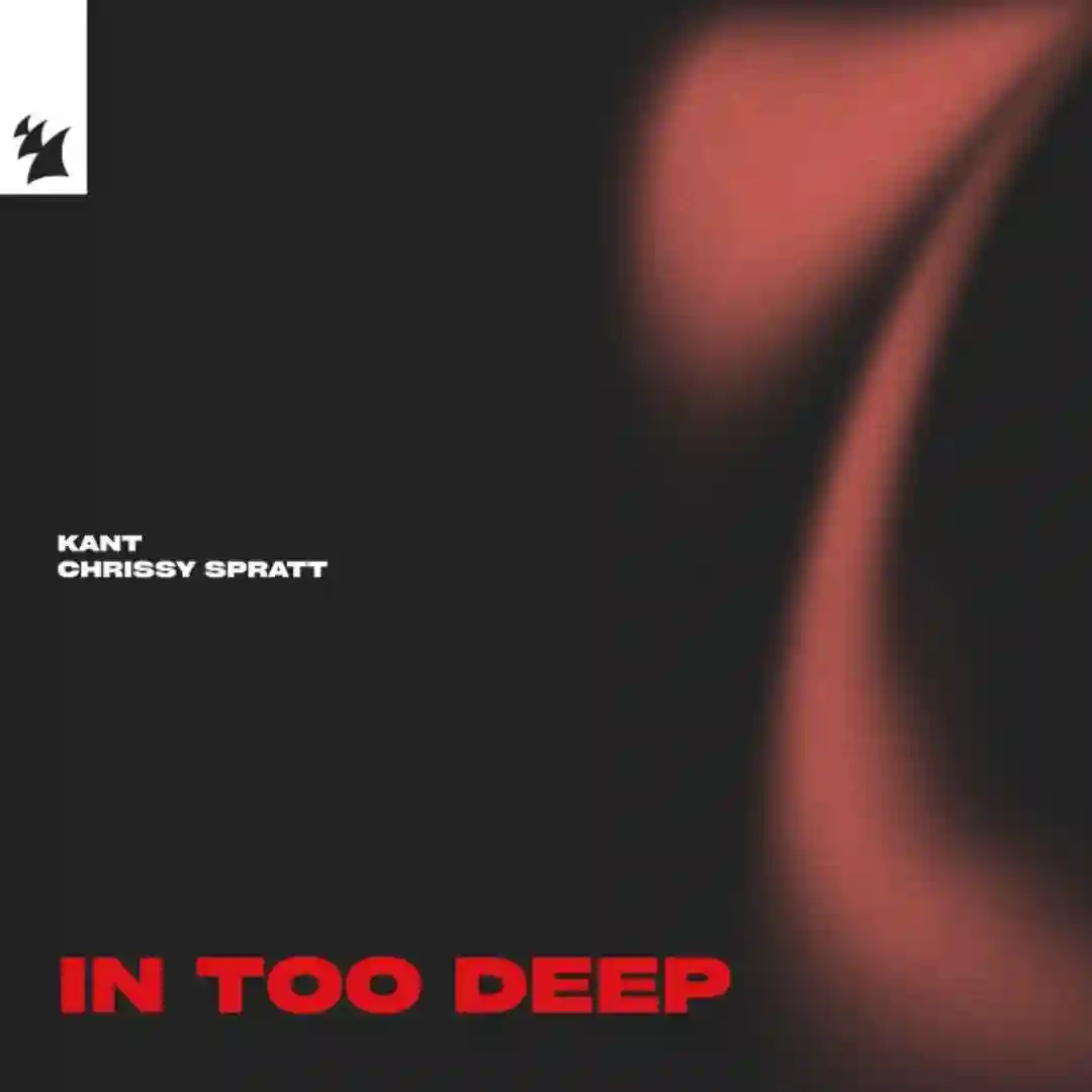 In Too Deep (Extended Mix) cover