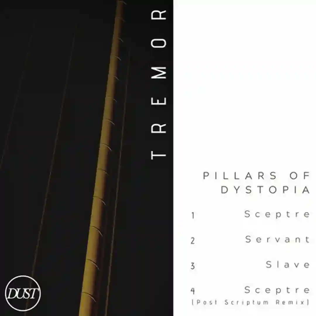 Servant (Original Mix) cover